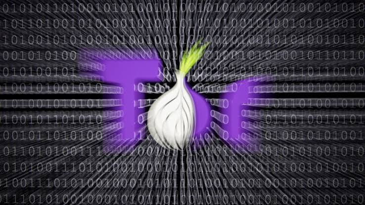Onion Haystak LInks